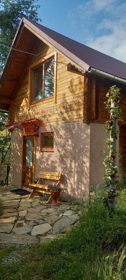 Vila Марічка Marichka Vorochta Exteriér fotografie